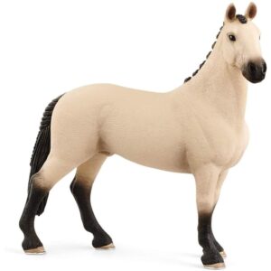 Hannoverian Gelding, Red Dun