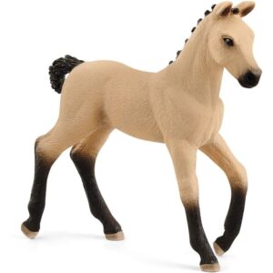 Hannoverian Foal, Red Dun