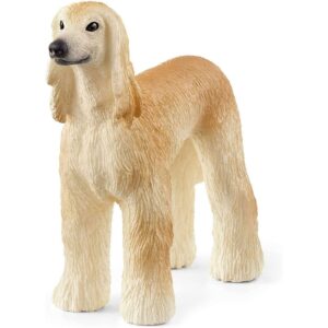 Afghan Hound
