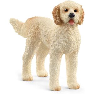 Goldendoodle