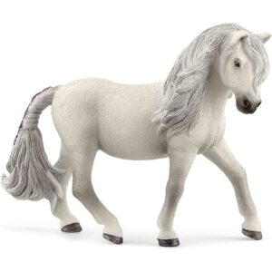 Iceland Pony Mare
