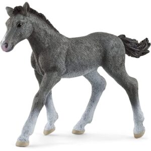 Trakehner Foal
