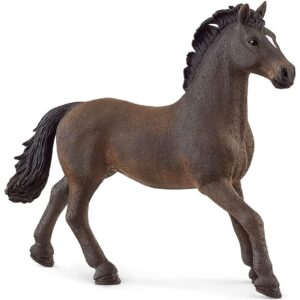 Oldenburg Stallion