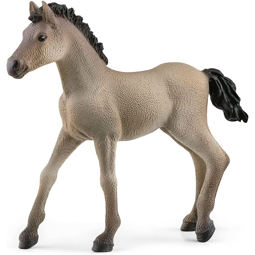 Criollo Definitivo Foal