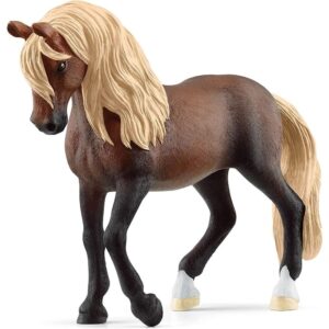 Paso Peruano Stallion