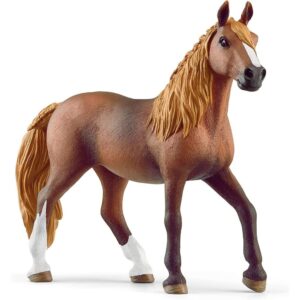Paso Peruano Mare