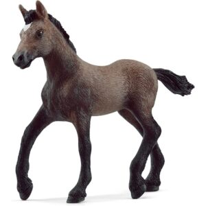 Paso Peruano Foal