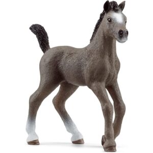 Cheval De Selle Foal