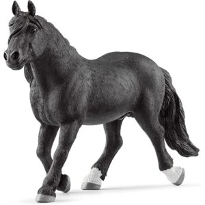 Noriker Stallion