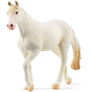 Calmarillo Mare