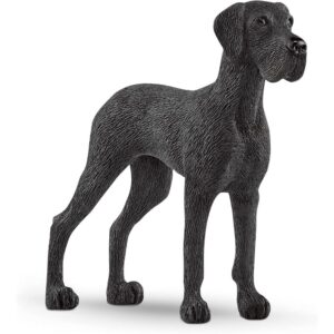 Great Dane