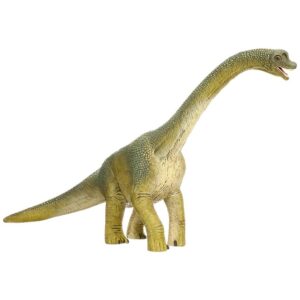 Brachiosaurus Dinosaur