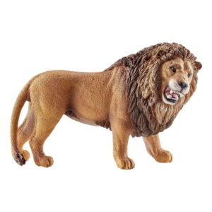 Lion, Roaring