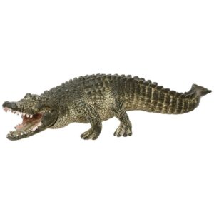 Alligator