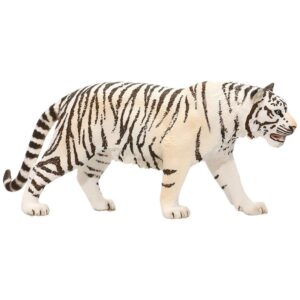 Tiger, White