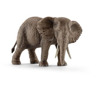 African Elephant, Female