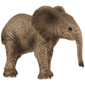 African Elephant, Calf