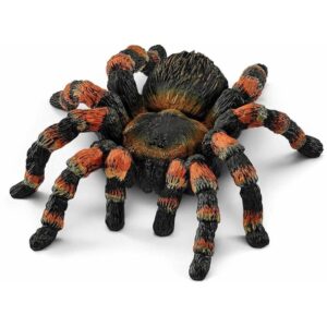 Tarantula