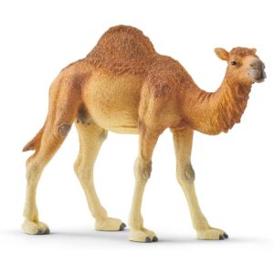 Dromedary Figure