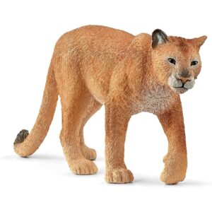 Cougar