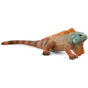 Iguana