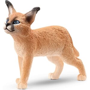 Caracal Cub
