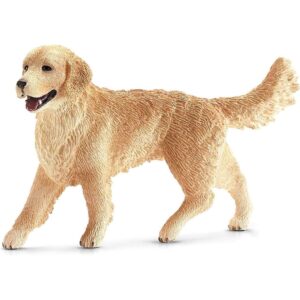 Golden Ret, Female
