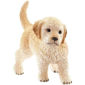 Golden Ret. Puppy