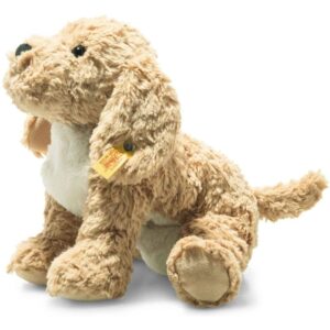 SCF BERNO GOLDENDOODLE