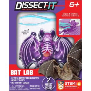 Dissect- It Bat Lab
