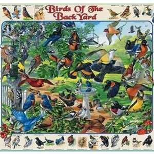 Birds Of The Backyard 1000Pc