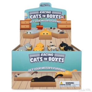 Racing Cat In A Box