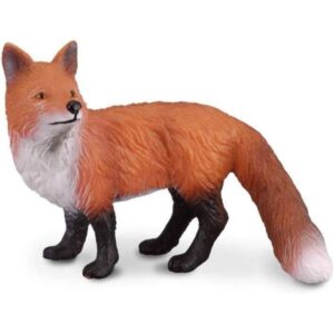 Red Fox