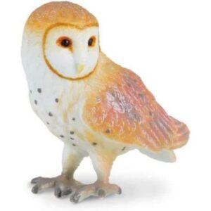 Barn Owl