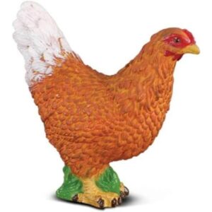 Hen