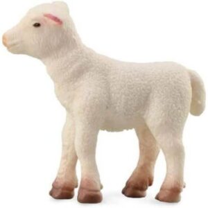 Lamb