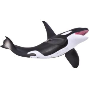 Orca