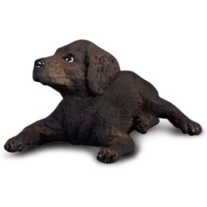 Labrador Retriever Puppy