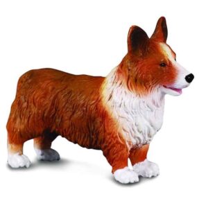 Welsh Corgi Dog