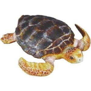 Loggerhead Turtle