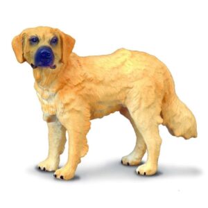 Golden Retriever Dog