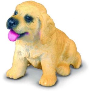 Golden Retriever Puppy