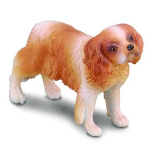 Cavalier King Charles Spaniel Dog
