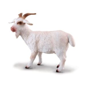Billy Goat