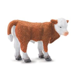 Hereford Calf