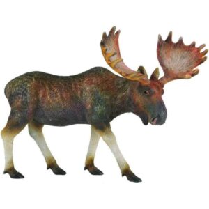 Moose