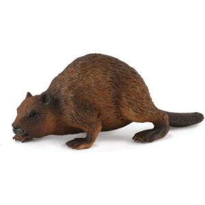 Beaver