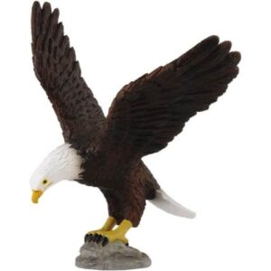 American Bald Eagle