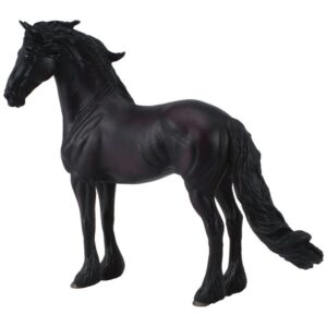 Friesian Stallion Horse