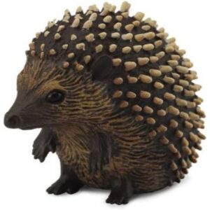 Hedgehog